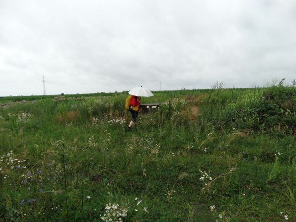 Żółty szlak z Jarosławia do Radawy