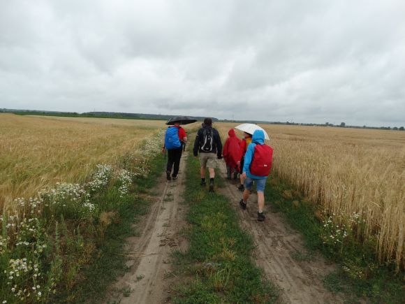 Żółty szlak z Jarosławia do Radawy