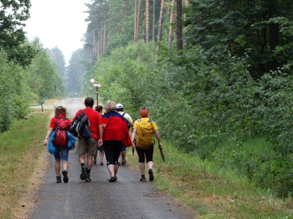 Żółty szlak z Jarosławia do Radawy