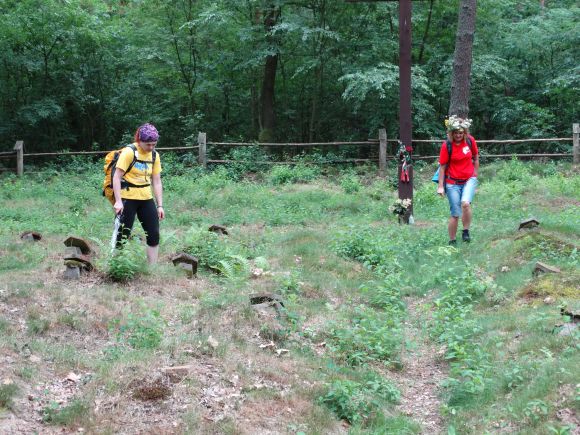 Żółty szlak z Jarosławia do Radawy