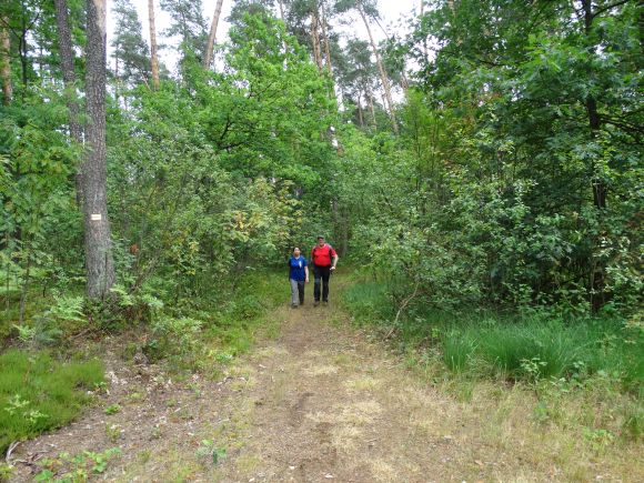 Żółty szlak z Jarosławia do Radawy