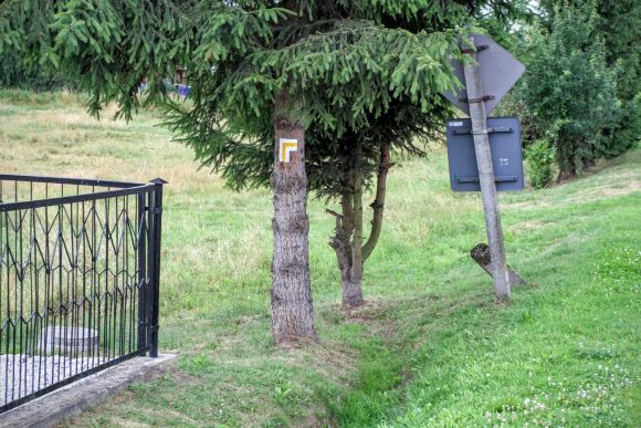 Żółty szlak z Jarosławia do Radawy