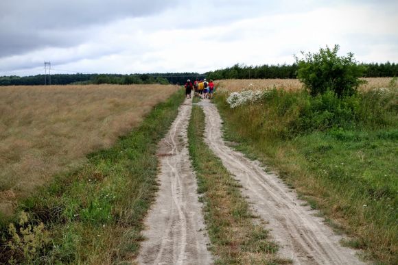 Żółty szlak z Jarosławia do Radawy