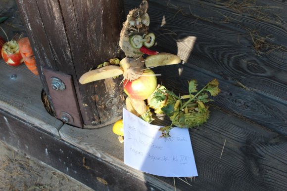 Piknik Wesołego Ziemniaka 2019