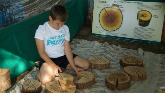 Dzień Lasu